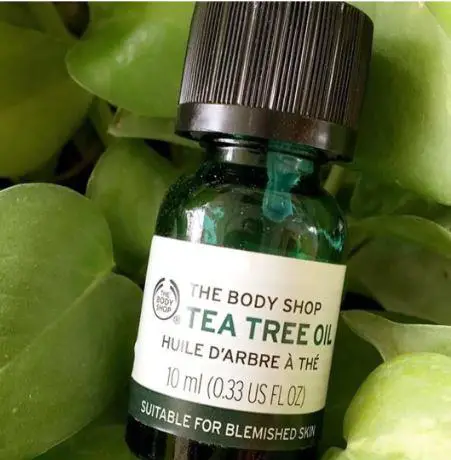 The Body Shop Tea Tree Oil Review