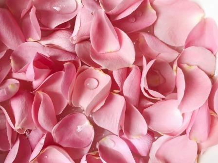 Rose petals