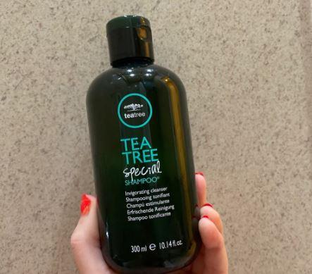 Paul Mitchell Tea Tree Special Shampoo Review