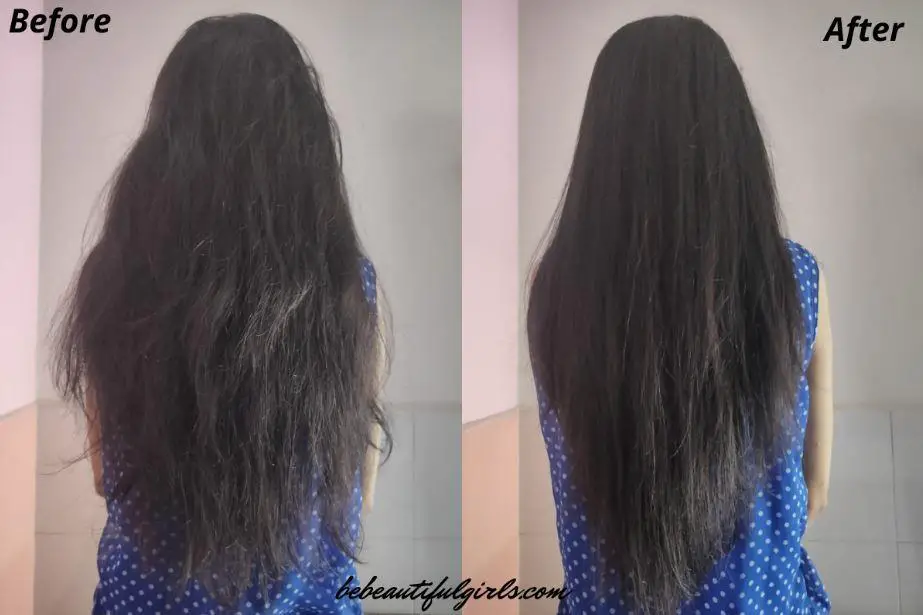 Vega Diva Hair VHSH-17 Review