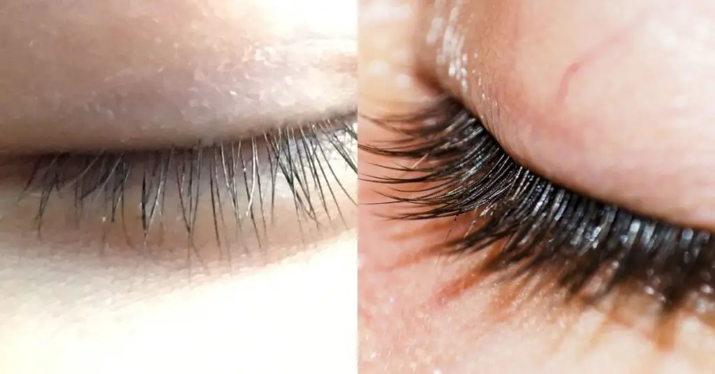 grow Eyelashes thicker and longer