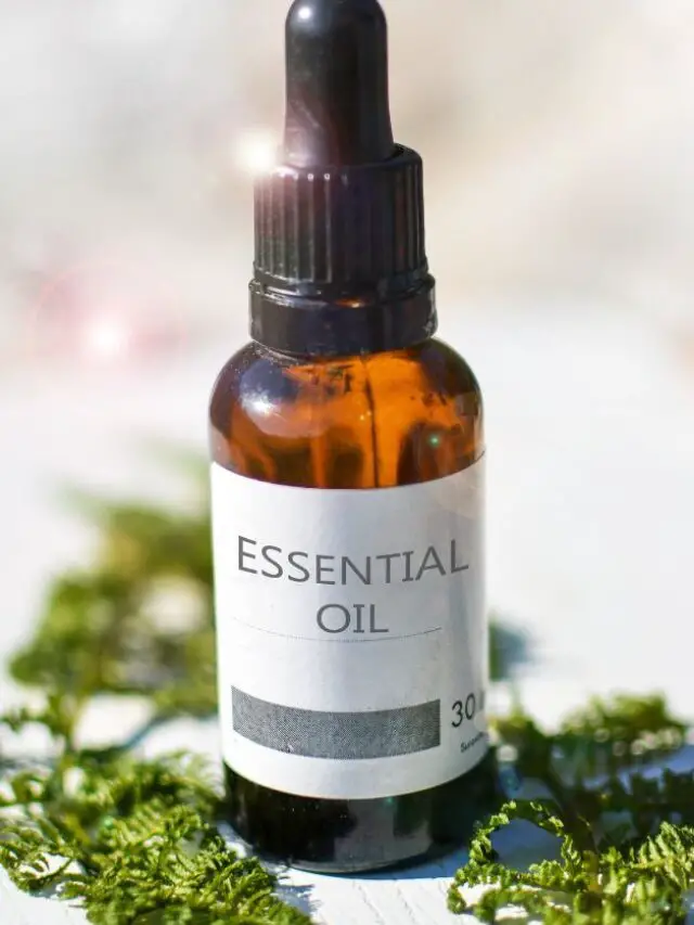 Essential Oils: Their Benefits and How To Use Them