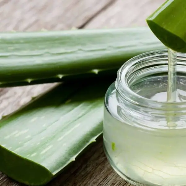 Aloe vera gel by Mamaearth: The wonder of nature in a bottle