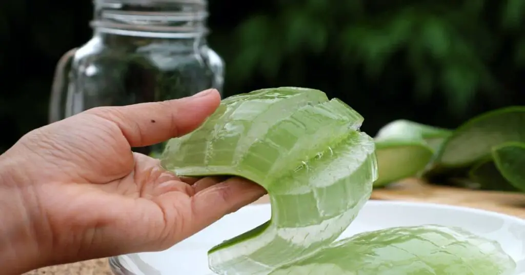 Aloe vera gel benefits