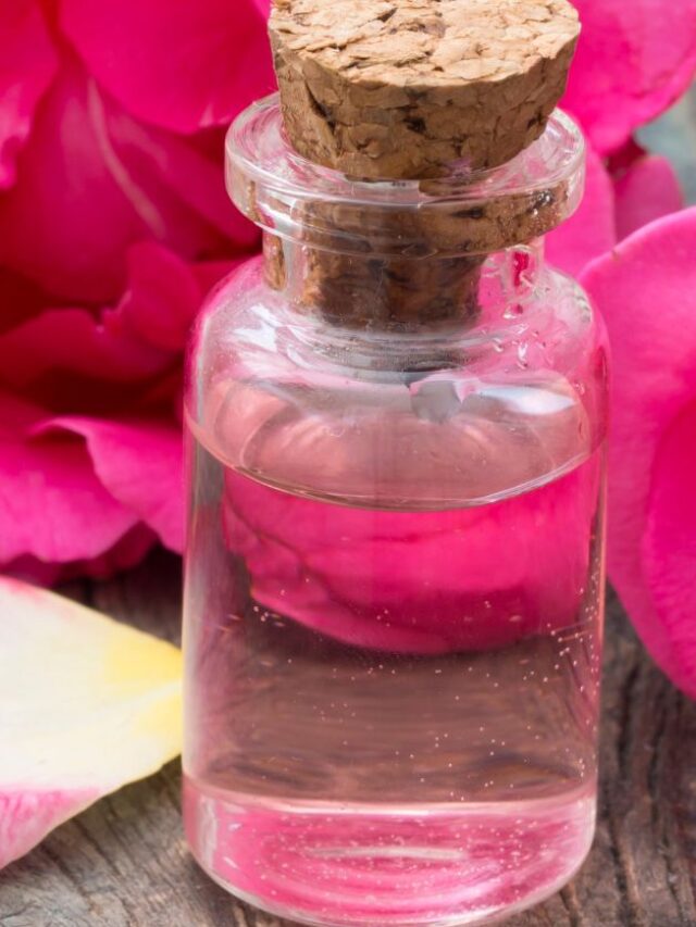 BENEFITS OF ROSE WATER FOR YOUR SKIN