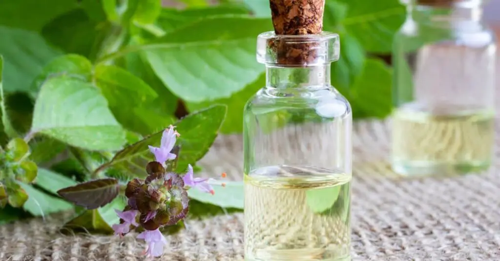 Holy Basil Essential Oil benefits