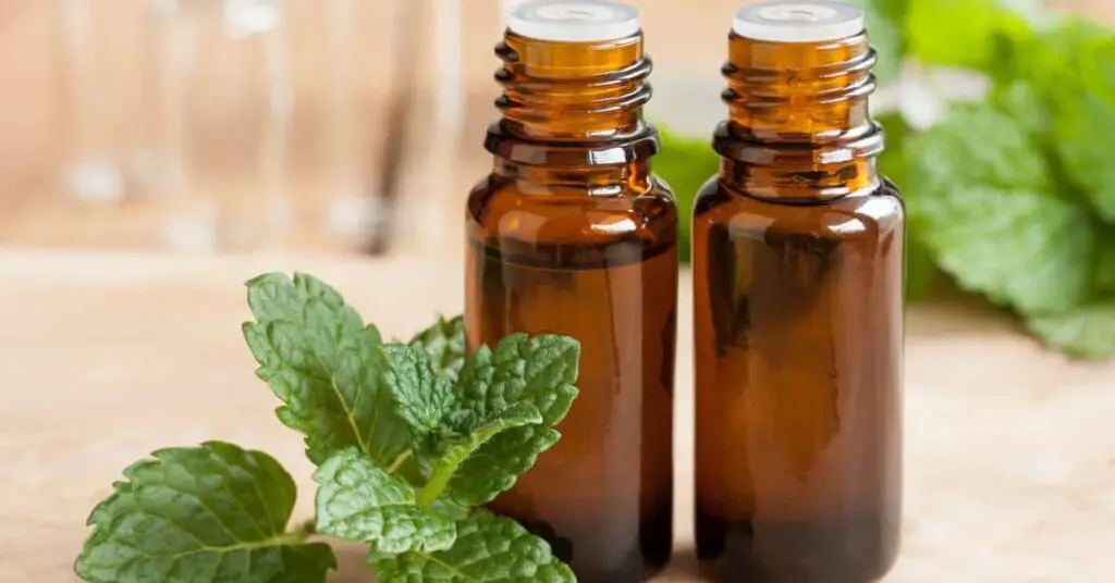 Peppermint Essential Oil for hair growth