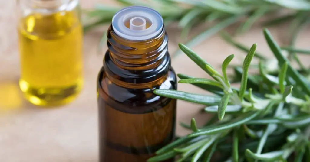 Rosemary Essential Oil