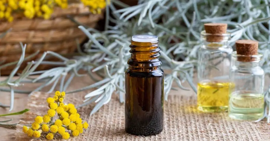 Helichrysum Essential Oil