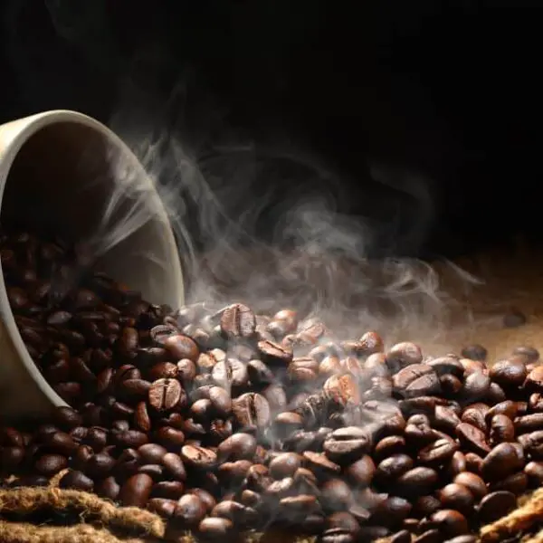 Lose Weight: Does Coffee Help One to Lose Weight?