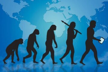 Stages of Human Evolution